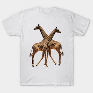 Giraffes T-Shirt